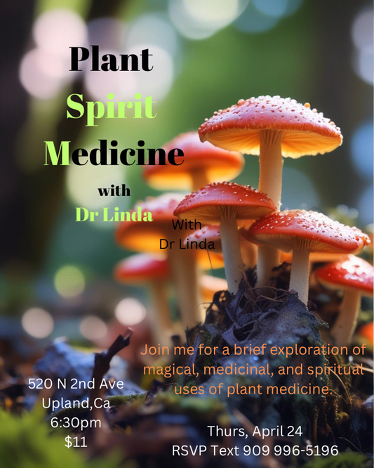 Plant Spirit Medicine with Dr. Linda